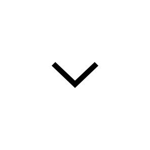 Arrow, Direction, Interface, Down, Download, User, Chevron icon