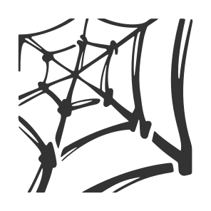 Icons Spider Web icon
