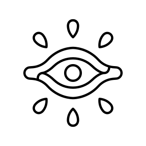 Icons Vision icon
