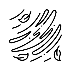 Icons Wind Slash icon
