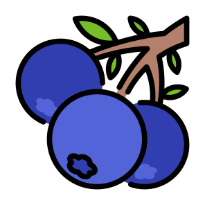 Blueberry, Fruit, Vegetarian, Healthy Food, Food And Restaurant icon