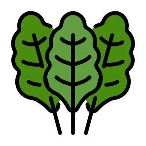 Chard, Vegetable, Vegetarian, Healthy Food, Food And Restaurant icon