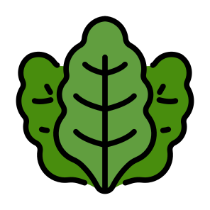 Kale, Vegetable, Vegetarian, Healthy Food, Food And Restaurant icon