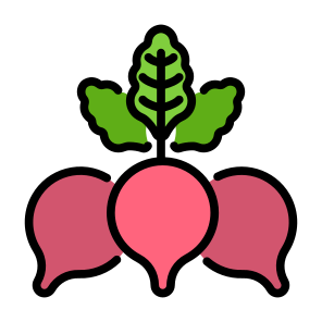 Radish, Vegetable, Vegetarian, Food, Food And Restaurant icon