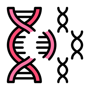 Genetic Mutation, Gene, Mutation, Genetical, Gene Mutation  icon
