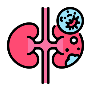 Kidney Cancer, Kidney, Illness, Tumor, Cancer Cell icon