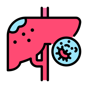 Liver Cancer, Liver, Disease, Cell, Organ icon