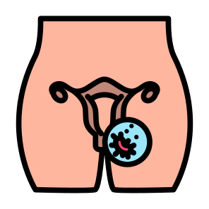 Ovarian Cancer, Cancer, Organ, Uterus, Ovaries icon