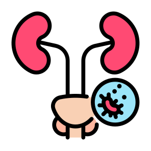 Prostate Cancer, Cancer, Prostate, Tumor, Cancer Cell  icon