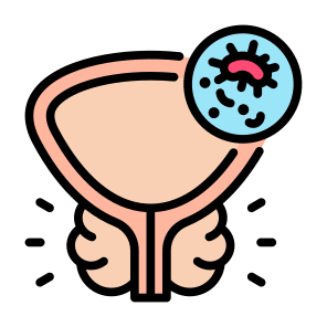 Prostate Cancer, Prostate, Organ, Illness, Cancer Cell icon