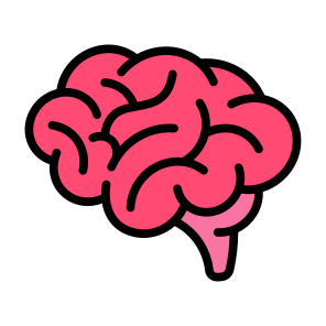 Brain, Human Brain, Body Organ, Neurology, Anatomy  icon