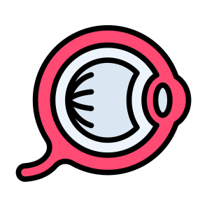 Eyeball, Pupil, Body Parts, Ophthalmology, Retina  icon