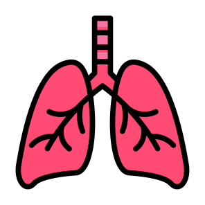 Lungs, Organ, Breath, Anatomy, Healthcare And Medical icon