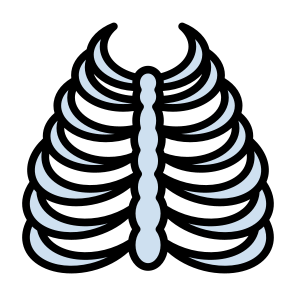 Rib Cage, Bones, Body Part, Skeleton, Human Body  icon