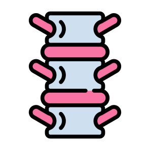 Spine, Bone, Skeleton, Spinal Column, Backbone  icon