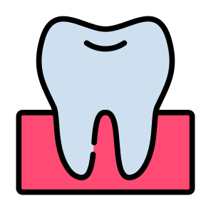 Teeth, Tooth, Dentist, Molar, Premolar icon