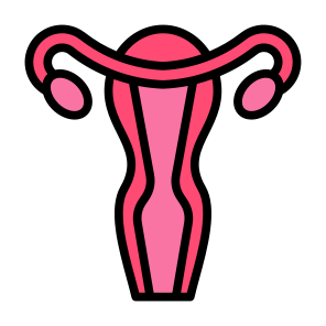 Uterus, Female Organs, Reproductive System, Ovaries, Anatomy icon