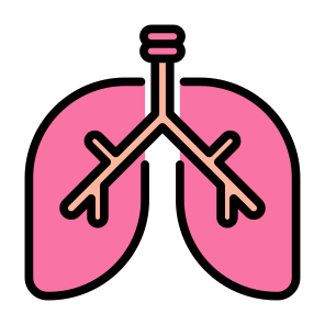 Lung, Body Part, Organ, Human Body, Respiratory System  icon