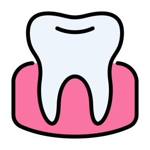 Gum, Anatomy, Dentistry, Enamel, Dental, Tooth  icon
