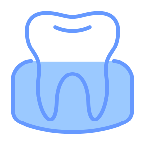 Gum, Anatomy, Dentistry, Enamel, Dental, Tooth  icon