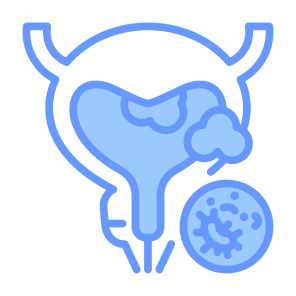 Bladder Cancer, Urology, Prostate Cancer, Bladder, Cancer Cell icon