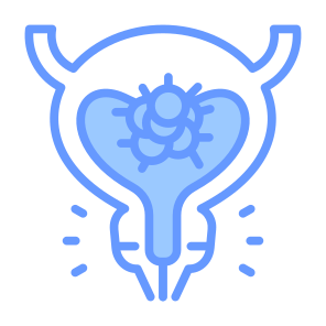 Bladder, Tumor, Urethra, Illness, Cancer Cell icon