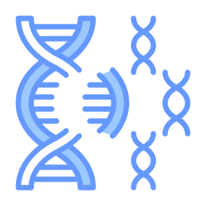 Genetic Mutation, Gene, Mutation, Genetical, Gene Mutation  icon