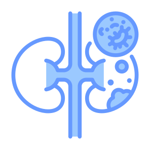 Kidney Cancer, Kidney, Illness, Tumor, Cancer Cell icon