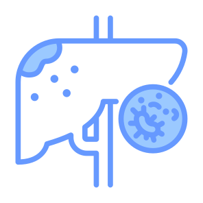 Liver Cancer, Liver, Disease, Cell, Organ icon
