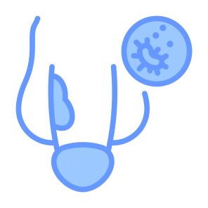 Penile Cancer, Cancer, Penis, Hpv, Cancer Cell icon