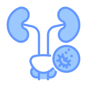 Prostate Cancer, Cancer, Prostate, Tumor, Cancer Cell  icon