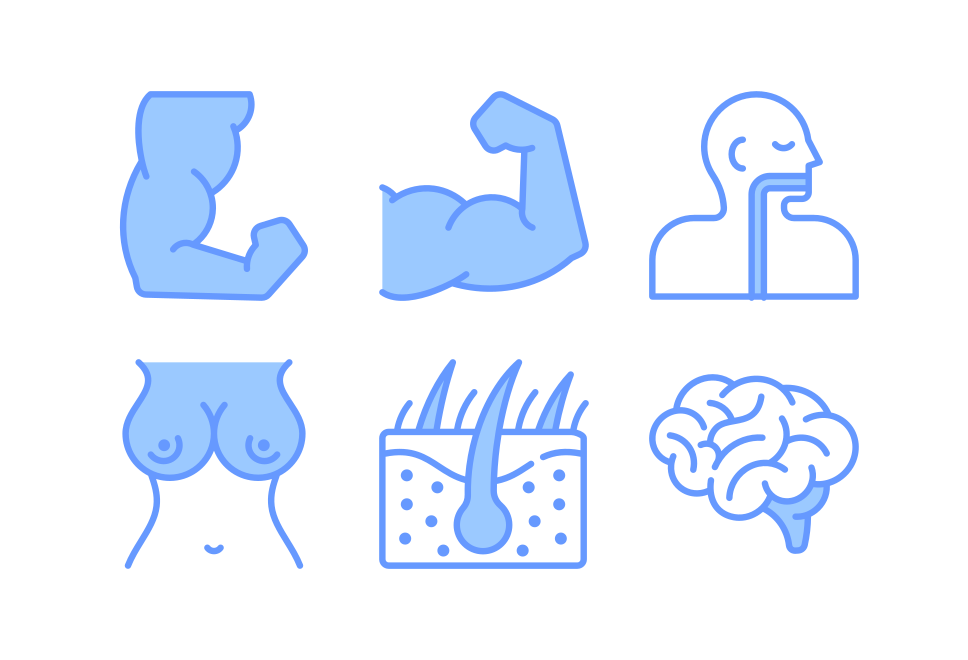 Human body Large Set Preview