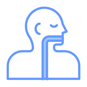 Esophagus, Human Body, Body Parts, Body Organ, Anatomy  icon