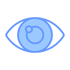 Eye, Body Parts, Anatomy, Ophthalmology, Optical  icon