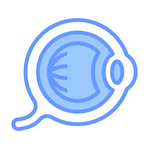 Eyeball, Pupil, Body Parts, Ophthalmology, Retina  icon