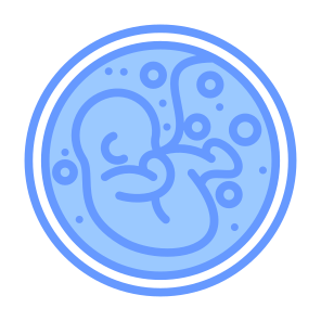 Fetus, Pregnant, Reproduction, Fertility, Pregnancy icon