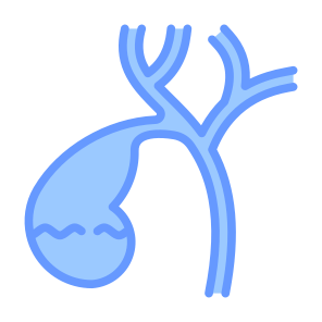 Gallbladder, Body Organ, Anatomy, Digestive System, Bile icon
