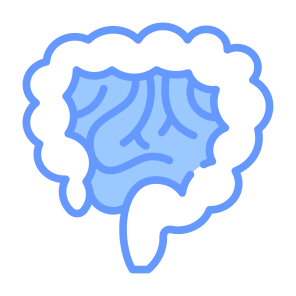 Intestine, Stomach, Bowels, Digestive System, Body Parts icon