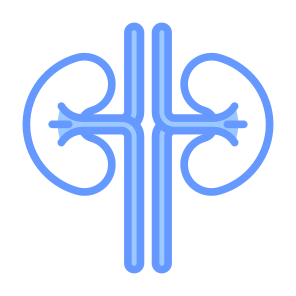 Kidneys, Urology, Human Body, Organ, Anatomy icon