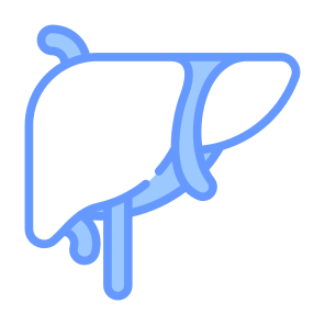 Liver, Organ, Body Organ, Anatomy, Body Part icon