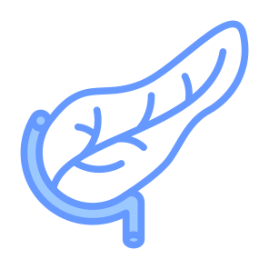 Pancreas, Human Body, Body Organ, Anatomy, Digestive System icon