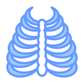 Rib Cage, Bones, Body Part, Skeleton, Human Body  icon