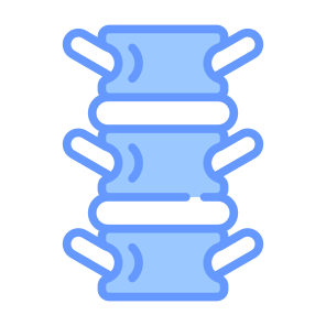 Spine, Bone, Skeleton, Spinal Column, Backbone  icon