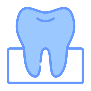 Teeth, Tooth, Dentist, Molar, Premolar icon