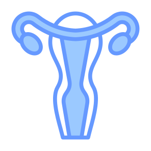 Uterus, Female Organs, Reproductive System, Ovaries, Anatomy icon