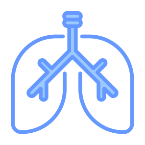 Lung, Body Part, Organ, Human Body, Respiratory System  icon