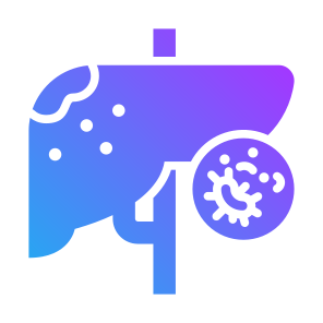 Liver Cancer, Liver, Disease, Cell, Organ icon