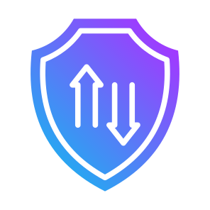 Protection, Security, Secure, Data Transfer,  Safety  icon