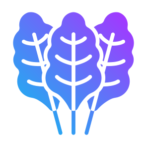 Chard, Vegetable, Vegetarian, Healthy Food, Food And Restaurant icon
