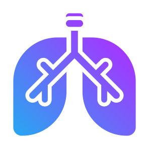 Lung, Body Part, Organ, Human Body, Respiratory System  icon